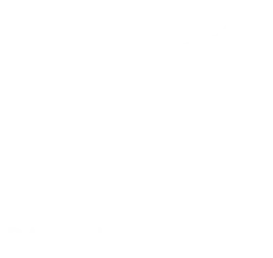 Paris Montana